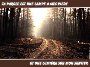 TopGraphisme N3