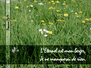 TopGraphisme N2
